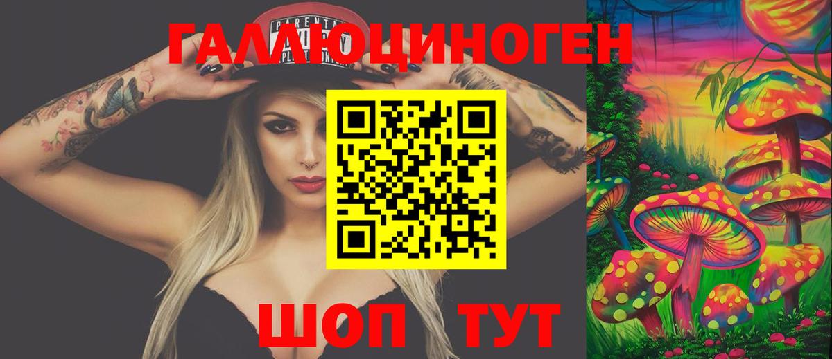 Назрань  Псилоцибиновые грибы GOLDEN TEACHER  Вход с VPN 